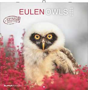 Cartoleria ALPHA EDITION - Calendario 2026 da muro, 12 mesi, 30x30 cm, Owls Alpha Edition