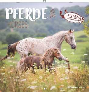 Cartoleria ALPHA EDITION - Calendario 2026 da muro, 12 mesi, 30x30 cm, Horses Alpha Edition
