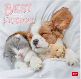 Cartoleria Calendario 2026 da Parete  - Best Friends - 30 x 29 cm Legami