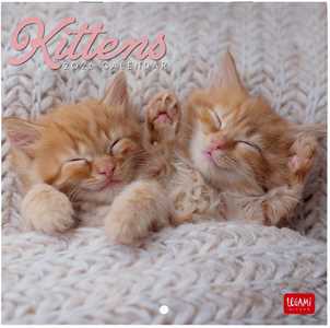 Cartoleria Calendario 2026 da Parete  - Kittens - 18 x 18 cm Legami